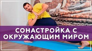 Практика сонастройки с окружающим миром | Йога Чести | Учитель йоги Владимир Присяжнюк