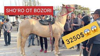 TOSHKENT SHOʻRO OT BOZORI BUNAQASI BOMAGAN 3250$ ANDIJONGA KETTI️️ 21.10.2024.