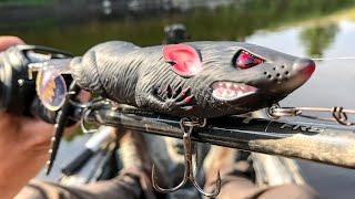 This New Rat Lure Caught A River MONSTER!