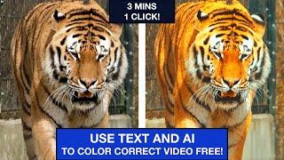 1 CLICK Video Color Correction (Using Text)! - FREE AI Tool