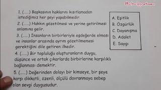 4.sınıf insan hakları 1.dönem 1.değerlendirme @Bulbulogretmen #4sınıf #insan #insanhakları #keşfet