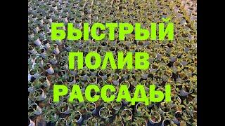 БЫСТРЫЙ ПОЛИВ РАССАДЫ