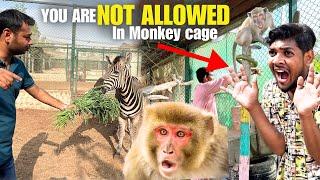 Monkey ne attack Kara Dawood pr monkey house set Kara Ajj big zoo me