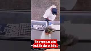 ain't no way bruh  #seriousshotta #amazingmemes #funny #funnyvideo #theifcaughtoncamera  #funnymeme