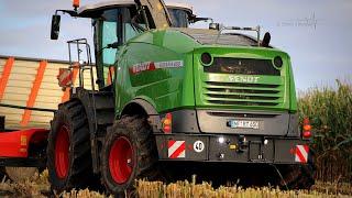 FENDT  KATANA  650 im Mais!!!