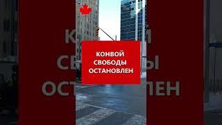 Конвой свободы остановлен в Канаде