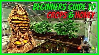 GREENHOUSE, CROPS & HONEY | Beginners Guide | ARK: Survival Evolved 2022 | The Island [S1 E7]