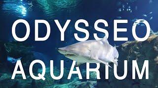 ODYSSEO- AQUARIUM OF PORT LOUIS, MAURITIUS