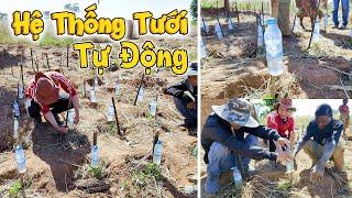 Hệ Thống Tưới Gì Lạ Vậy Anh? Cuối Cùng Đã Có Hệ Thống Tưới Nhỏ Giọt Giá Không Đồng!