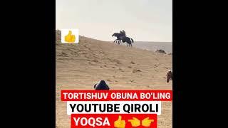 Chetgir bilan tortishuv Dehqonobod, Achchisuv arena #2022