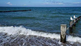 Подводные кабели связи повреждены в Балтийском море