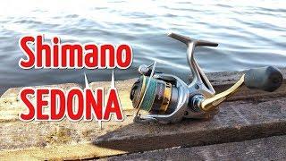 Катушка Shimano Sedona. Лучшая бюджетная катушка для спиннинга