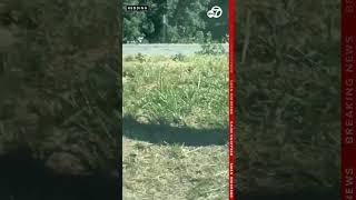 CAUGHT ON CAMERA: Man points rifle at officer during traffic stop