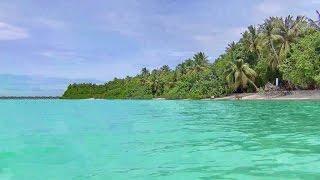 Мальдивы. Sun Island Resort 5*. Красивые местечки острова.