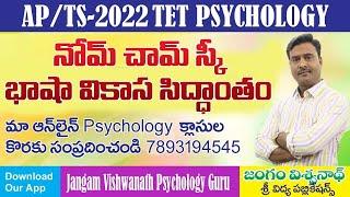 AP&TS-TET PSYCHOLOGY ||నోమ్ చామ్ స్కి భాషా వికాస సిద్దాంతం || JANGAM VISHWANATH PSYCHOLOGY GURU||