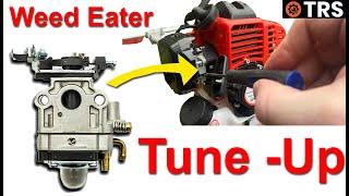 Fix Your Weed Eater Strimmer FAST With This Carburetor Tune-Up!