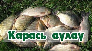 Қармақпен карась балық аулау  #shorts#рыбалка #fishing