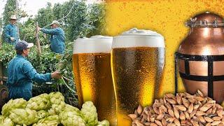 La CERVEZA. Elaboración tradicional de esta bebida fermentada | Oficios Perdidos | Documental