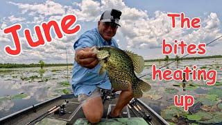 Crappie & Bluegill Catch*Clean*Cook (Big Backyard Family Feast )Frying Fish, Shrimp & Chicken