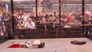 FRA Q8 - Night Fury 2 v No Toy v Predator - RC Combat Robot Wars - 2015 RC World Championships