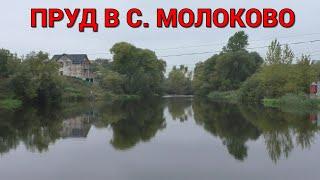 Панорамный обзор пруда в селе Молоково Ленинского района (08.10.22)