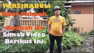 PERSINABULI NAMA KAING ATAU ROZI DALAM ADAT PERKAWINAN ATAU MERBAYO PADA MASYARAKAT PAKKPAK. SIMAK !