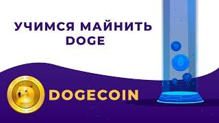 Как начать майнить Dogecoin ?