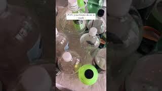 Trash to trash Recap from a few months back of projects made using things that were thrown away!