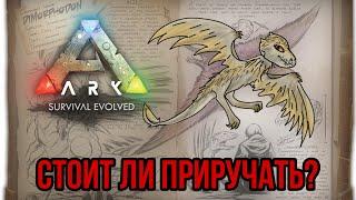 Диморфодон ARK MOBILE | Стоит ли приручать? | Диморфодон Арк Мобайл | Арк Мобайл