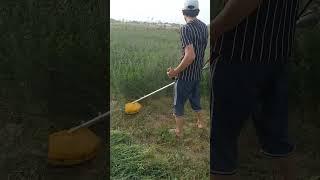 Вот Вориш #funny #love #rek #юмор #shortvideo #trending #tiktok #втоп #дуэт