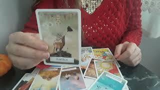 yay burcu 18-24 Kasım kahve ve tarot açılımı 2024