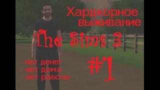 Хардкорное выживание в The Sims 3 (без денег, без дома, без работы). Часть 1