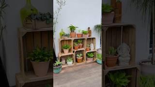 #DIY plant shelf out of wooden #winecrates #upcycling 🪴