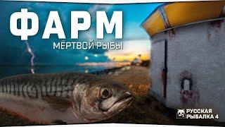 Норвежское море • Фарм наживки • Русская Рыбалка 4