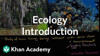 Ecology introduction | Ecology | Khan Academy