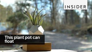 This plant pot can float