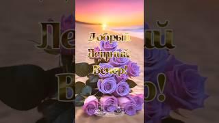 Добрый летний вечер ️#открытка #добрыйвечер #видео