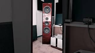 FIRST LOOK AT THE OSBORN EPITOME ELITE Mk.X #speaker review #audiophile