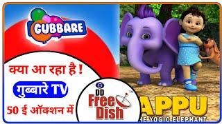 Gubbare TV Launching on DD Free Dish In 50 E Auction | DD Free Dish