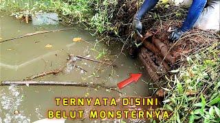 MANCING BELUT MONSTER BIKIN SEKUJUR BADAN GEMETAR