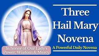 The 3 Hail Mary Novena - A Powerful Daily Novena