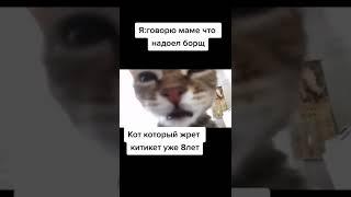 мем #shorts #хочуврек #memes #funny #funnymoments #смех #ржачно