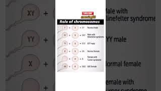 Role of chromosomes #study #ytshorts_ #ytstudio #nursingstudent