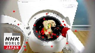 Point Clouds for 3D Visualizations - Science View