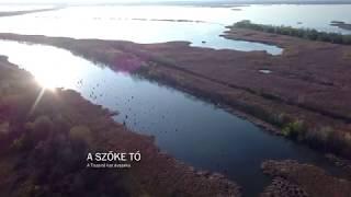 A szőke tó - A Tisza-tó hat évszaka (teljes film)