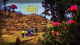 Bansuri | Morning Flute Music | The Himalayan Flute Music (बाँसुरी) Bishram Relaxing Ep 205