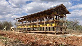How to build a Modern Apiary for Honey Bees: Step-by-Step Guide