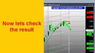 LiveTradeSystem: Live market video demonstration