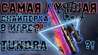 СБОРКА НА ТУНДРУ WARZONE | LW3 TUNDRA | ЛУЧШАЯ СНАЙПЕРКА В ВАРЗОН ТУНДРА