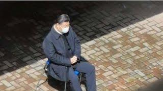周末突袭：感恩17万粉｜哈佛变身中央党校不是今天的事｜论女孩中罕见的丫鬟身子小姐命格